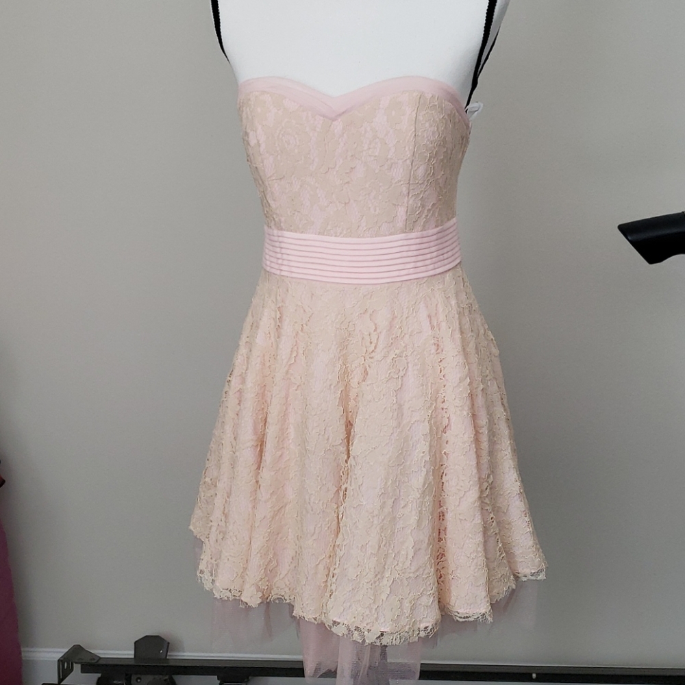 NWT Strapless Pink and Cream Lace Minuet Dress